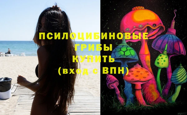 стафф Абинск