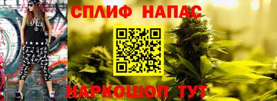соль ск Будённовск