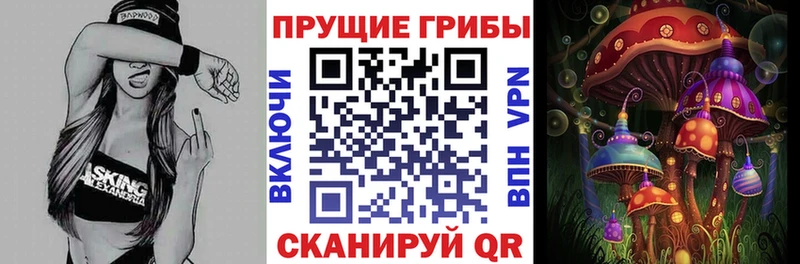 даркнет сайт Дивногорск Псилоцибиновые грибы мухоморы