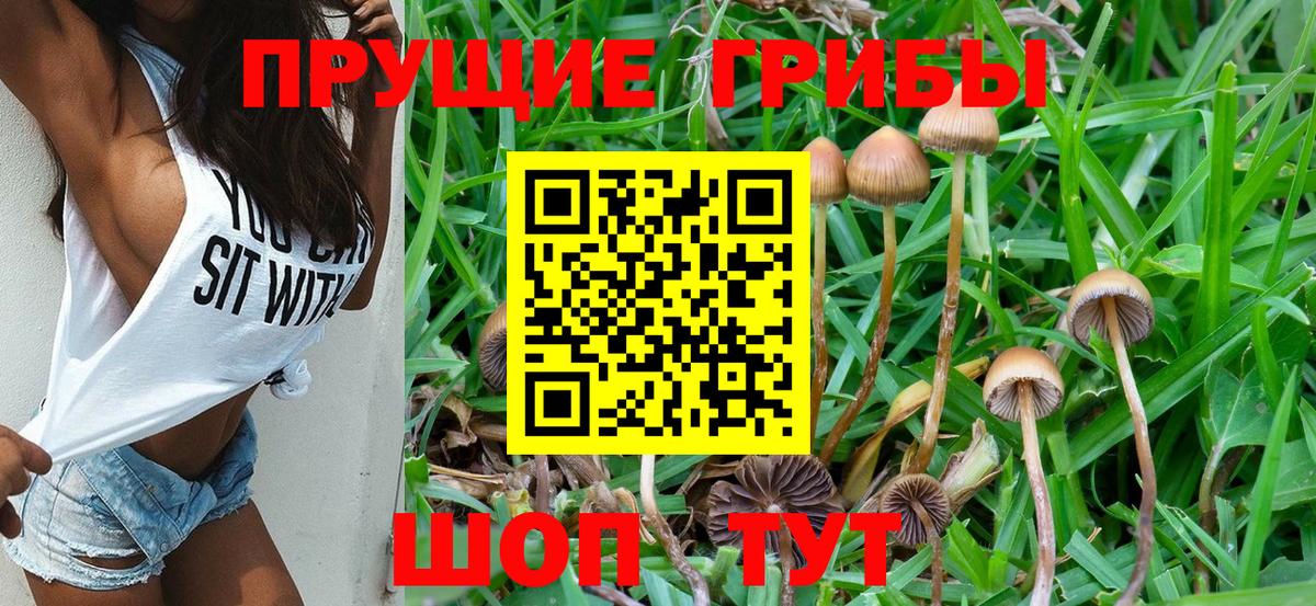 Псилоцибиновые грибы MAGIC MUSHROOMS Дивногорск